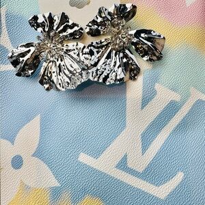 Winter ❄️ Wonderland Earrings